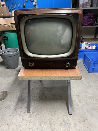 Phonola video televisore - phonola,